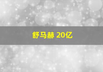 舒马赫 20亿